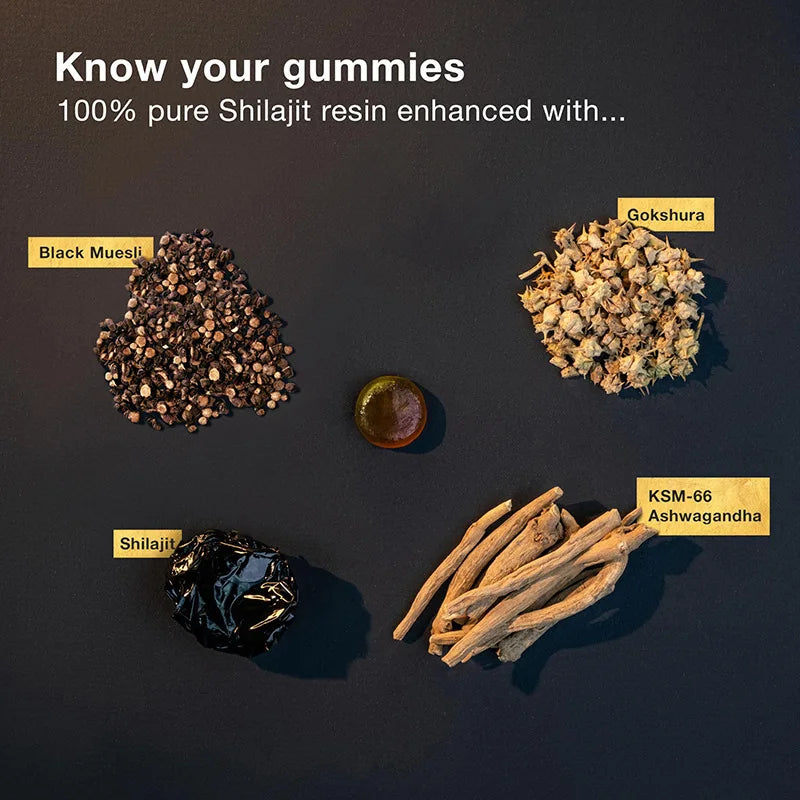 Hot Sale Private Label All in 1 Pure Himalayan Shilajit Gummies Ashwagaganda Boost Energy Fulvic Acid & 85+ Trace Minerals